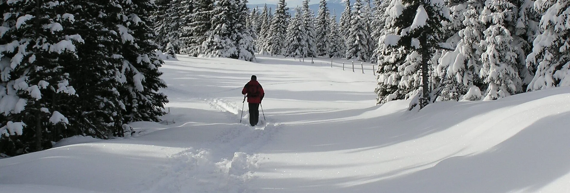 Snowshoe walking Snowshoe Hike Hauereck, St. Kathrein am Hauenstein - Touren-Impression #1 | © Oststeiermark Tourismus