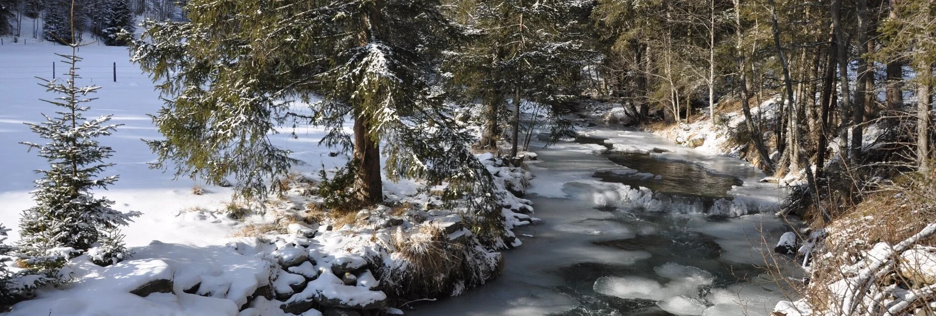 Winter Hiking Winter hike to the Rantental - Touren-Impression #1 | © Tourismusverband Murau