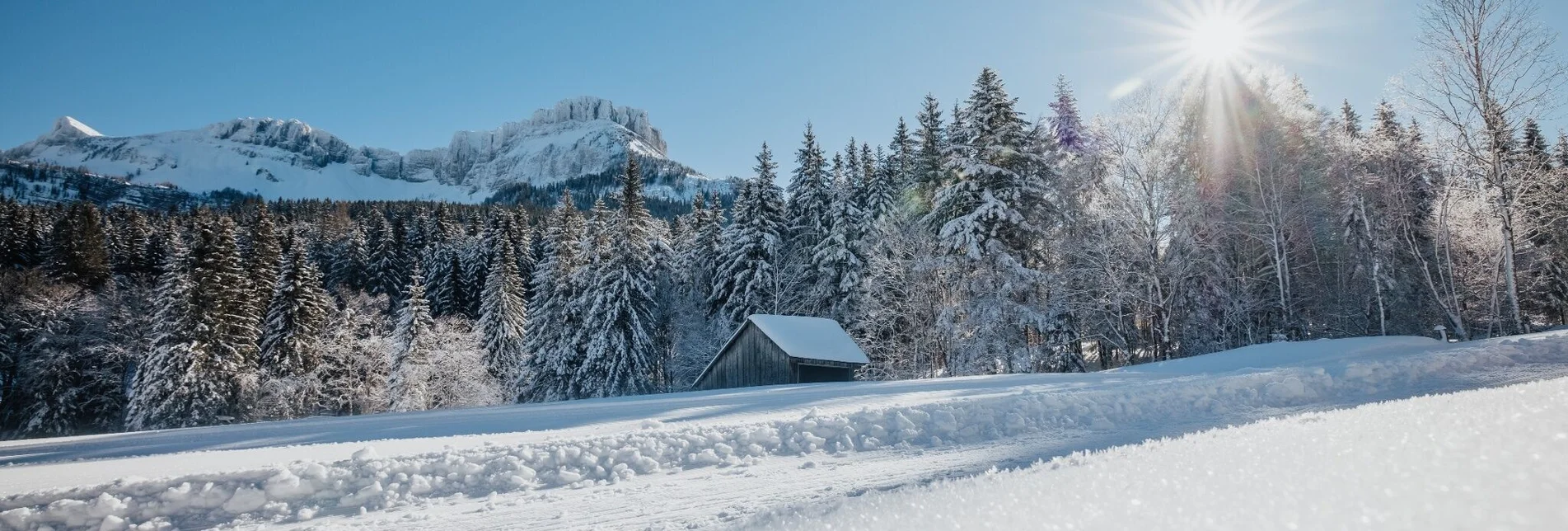 Winter Hiking Winter hike from the Loser Ski Arena to the Blaa Alm - Touren-Impression #1 | © Ausseerland