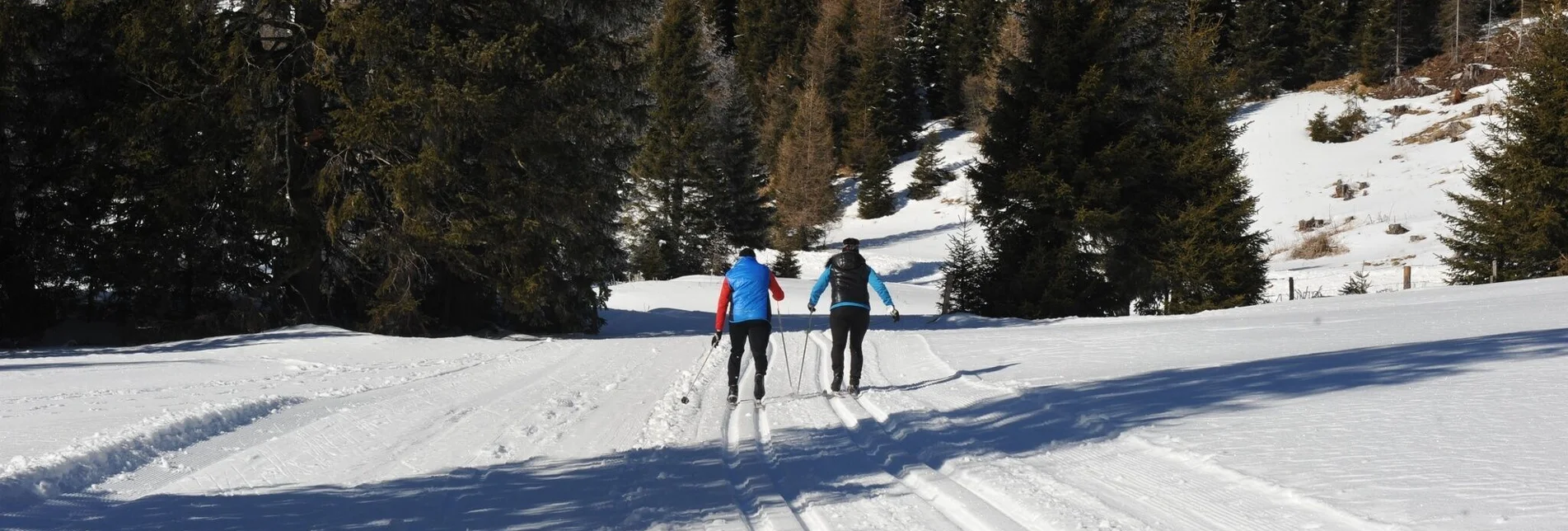 Langlauf Skating Höhenloipe Lachtal - Touren-Impression #1 | © Tourismusverband Murau