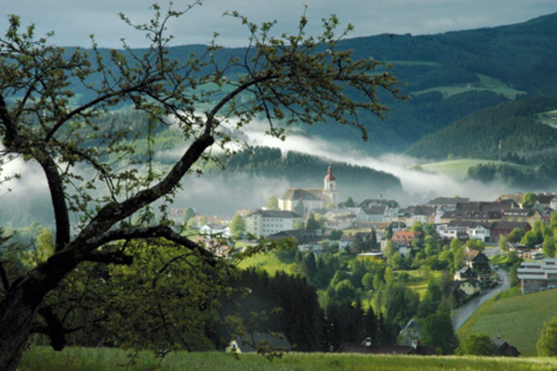 Hiking Route Schoberkogelweg, Birkfeld - Touren-Impression #1 | © Oststeiermark Tourismus