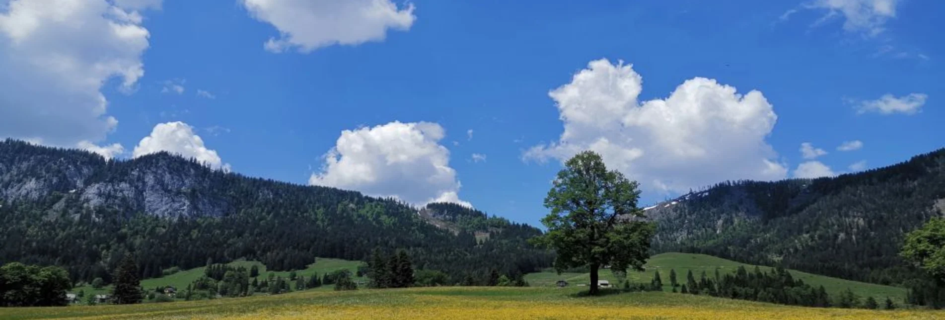 Wanderung Familienwanderung von Tauplitz in die Gnanitzalm - Touren-Impression #1 | © TVB Ausseerland-Salzkammergut_Theresa Schwaiger