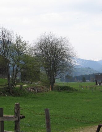 Bauernhof Duckbauer in Krungl | © TVB Ausseerland Salzkammergut_Rastl