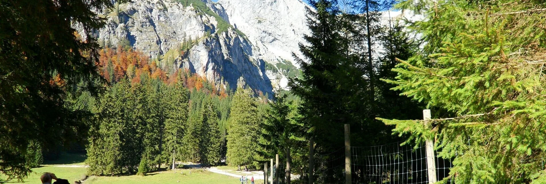 Wanderung Wildfeld - Stadelstein - Touren-Impression #1 | © Museum Eisenerz