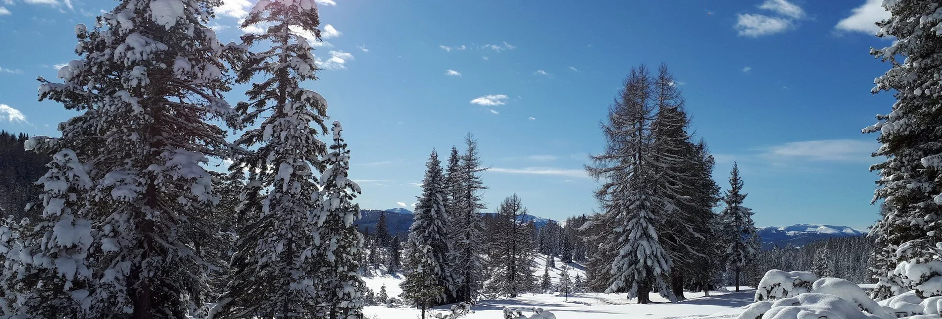 Winterwandern Naturlehrpfad Krakauschatten - Touren-Impression #1 | © Tourismusverband Murau