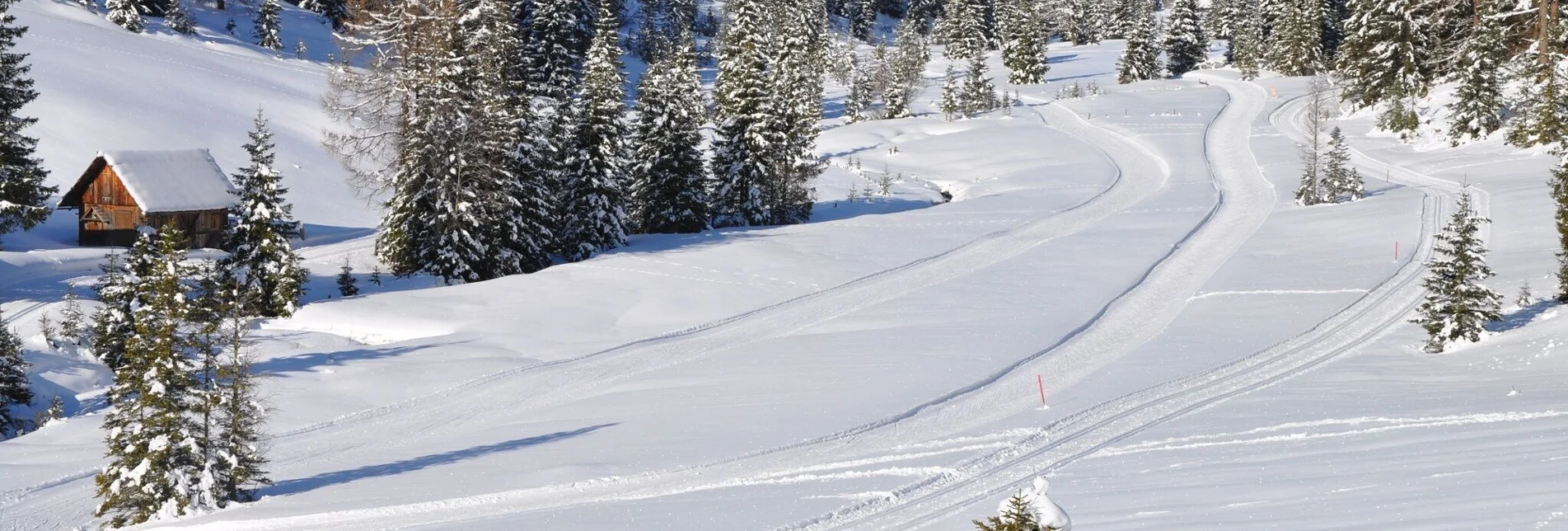 Langlauf Skating Höhenloipe Prebersee - Touren-Impression #1 | © Tourismusverband Murau