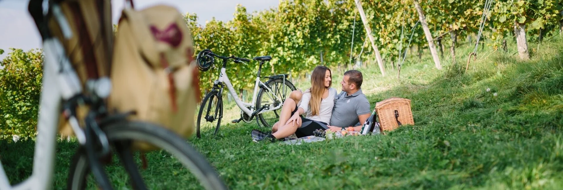 Bike Riding Pleasure cycling to Weiz sheep farmers and Styrian pumpkin seed oil - Touren-Impression #1 | © Oststeiermark Tourismus