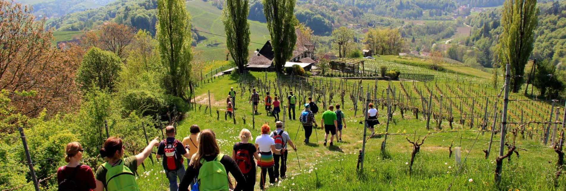 Nordic Walking Nordic Walking Vinotour - Rote Strecke - Touren-Impression #1 | © Südsteiermark