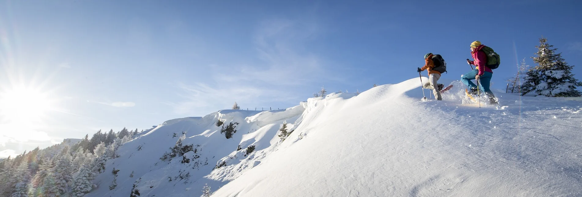 Schneeschuh Frauenalpe - über die Troghütte zum Gipfel & zurück über Oberberg - Touren-Impression #1 | © TVB Murau