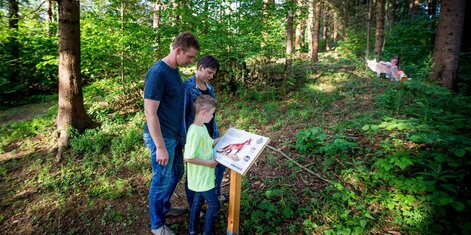 Tierlehrpfad | © Tourismusverband Murau