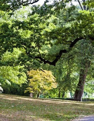 Kurpark Bad Gleichenberg | Werner Krug | © Thermen- & Vulkanland