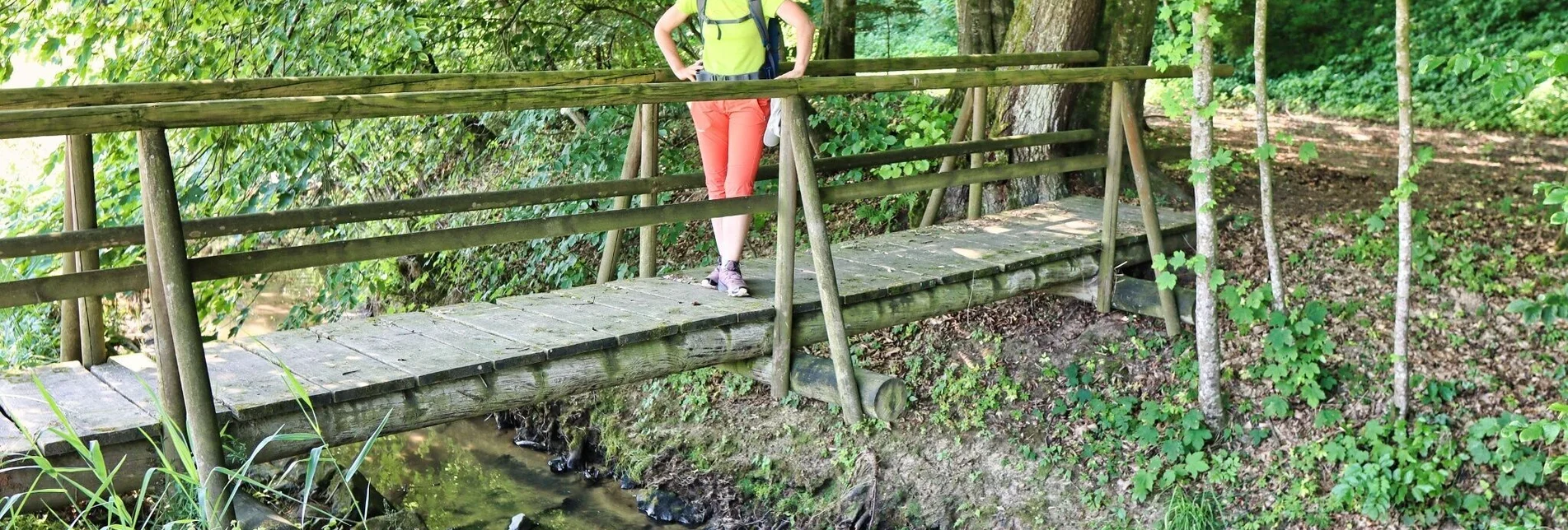 Wanderung Rundweg 2 (Badenbrunn) des 5-Elemente-Weges - Touren-Impression #1 | © Weges OG