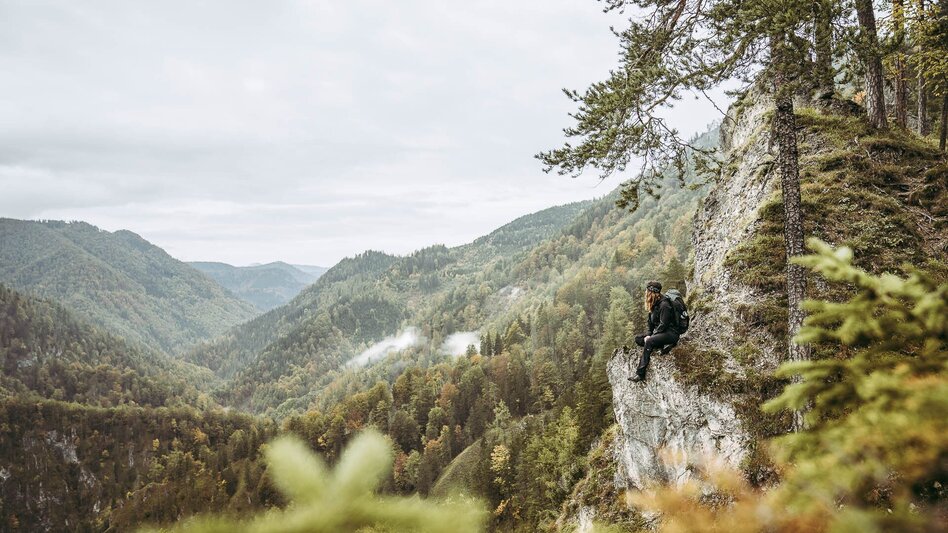 Wanderung Etappe 02 Luchs Trail Anlaufalm - Laussabaueralm - Touren-Impression #2.5 | © TV Gesäuse