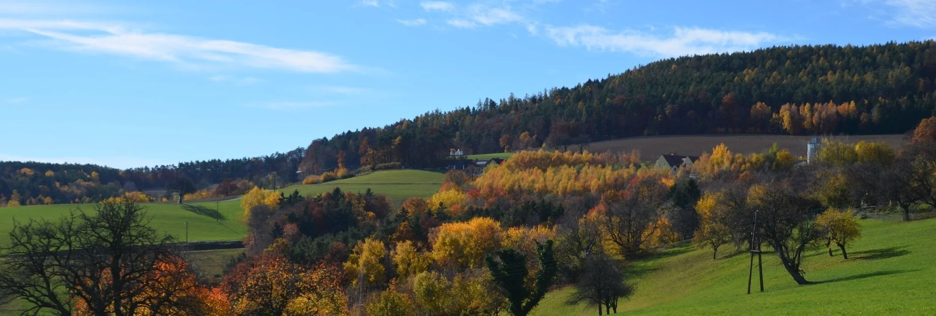 Hiking route Fichtenbründl trail (Fichtenbründl-Weg) - Touren-Impression #1 | © TV Thermen- & Vulkanland