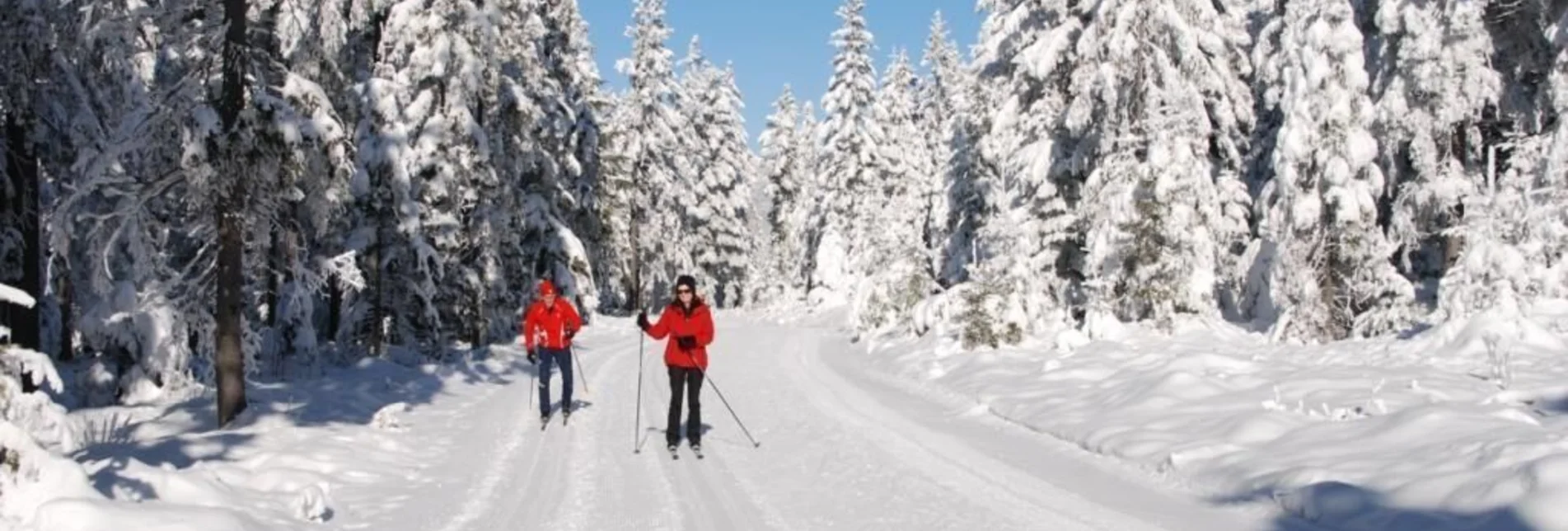 Ski nordic skating Panorama trail - cross-country skiing center Hochwechsel/ Rabl-Kreuz, Waldbach-Mönichwald - Touren-Impression #1 | © Oststeiermark Tourismus