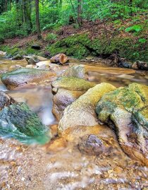 Water is life at the 7 Bacherl Weg in Stubenberg, Eastern Styria | © Oststeiermark Tourismus | Ewald Neffe | © Oststeiermark Tourismus