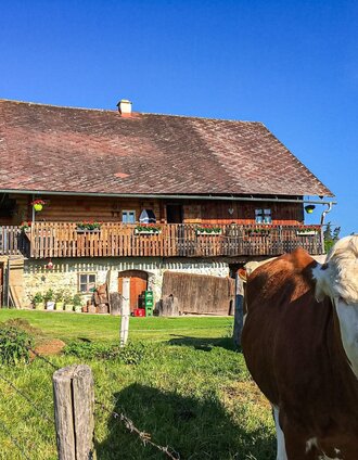 Remschniggalm | Bernhard Prangl | © Südsteiermark