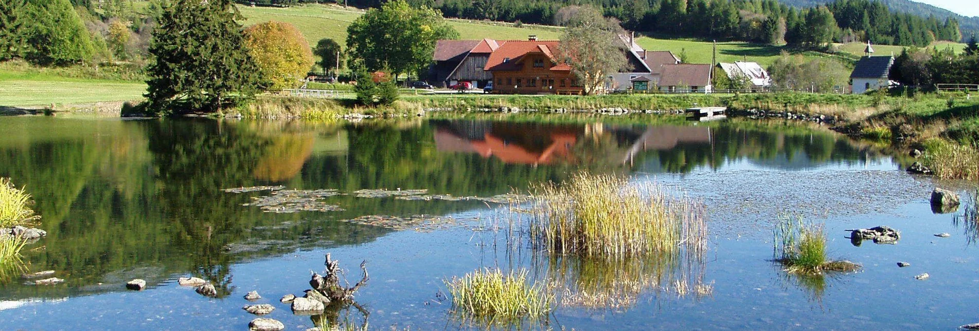 Wanderung Von Neumarkt über Ort See nach Mühlen - Touren-Impression #1 | © Tourismusverband Murau