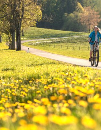 Weizer Almenland Radtour, Oststeiermark | Bernhard Bergmann  | © Oststeiermark Tourismus