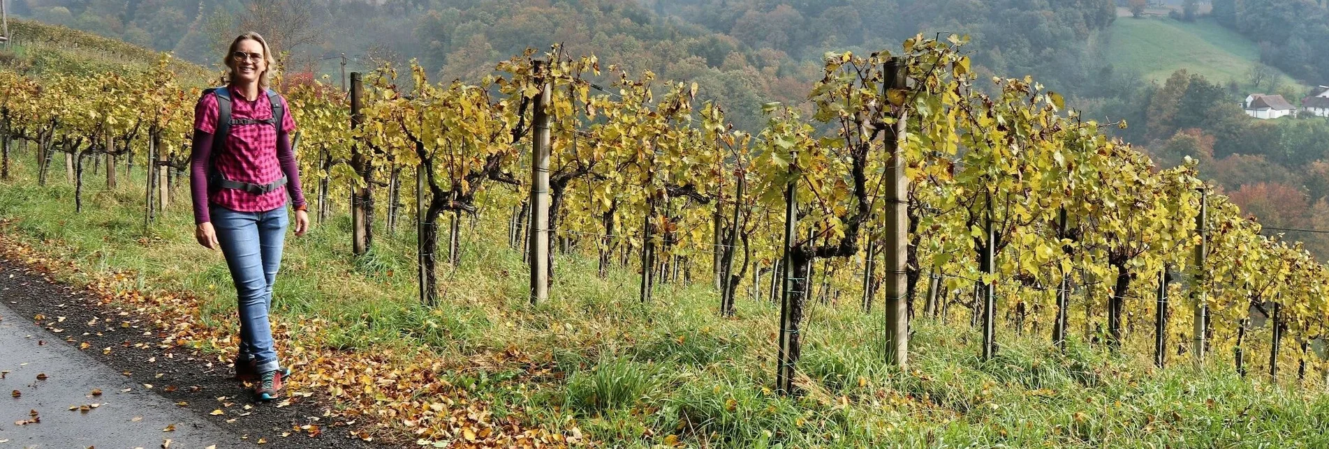 Wanderung Wein- und Turmweg in St. Peter am Ottersbach - Touren-Impression #1 | © Weges OG