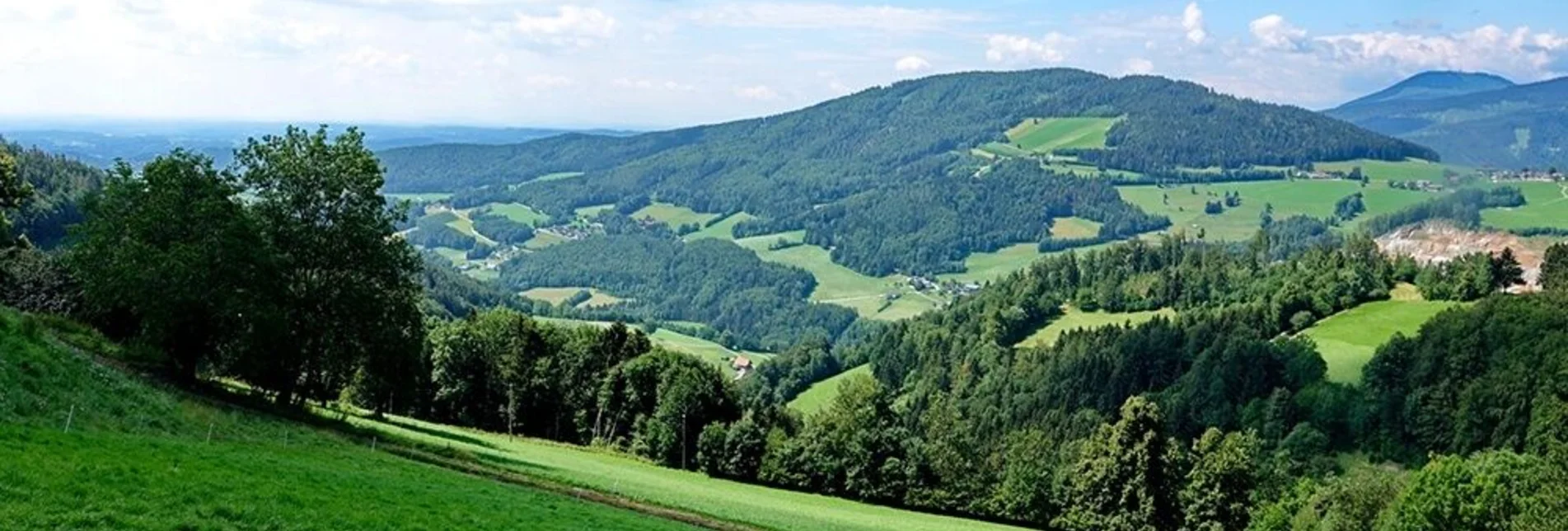 Bike Riding Weizer Almenland Bike Tour, Variant 2, Section, Weiz - Landscha - St. Kathrein/Offenegg - Touren-Impression #1 | © Oststeiermark Tourismus