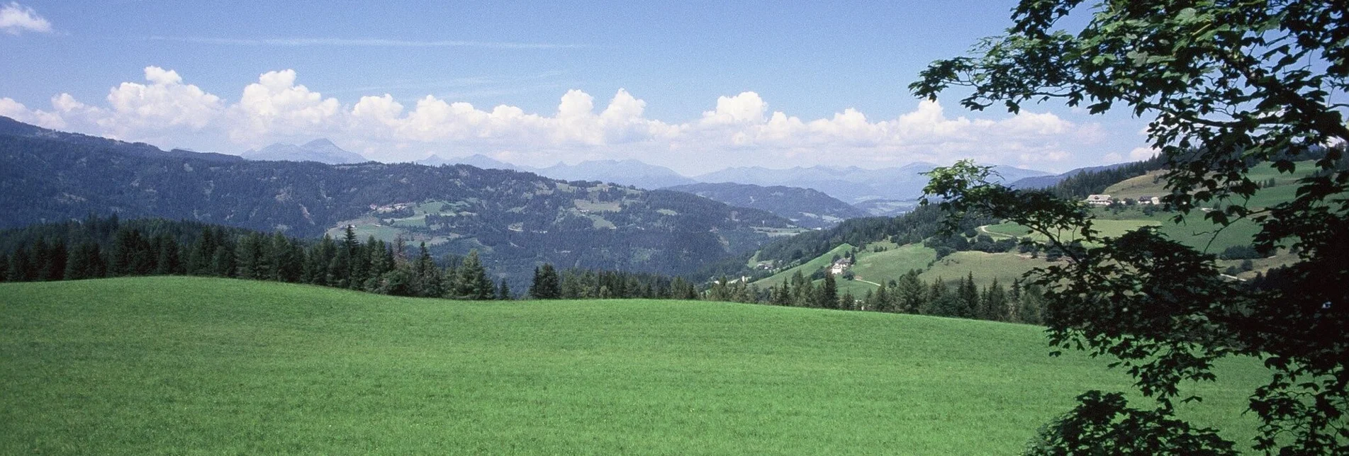 Wanderung Wölzer-Tauern-Blick Runde - Touren-Impression #1 | © Tourismusverband Murau