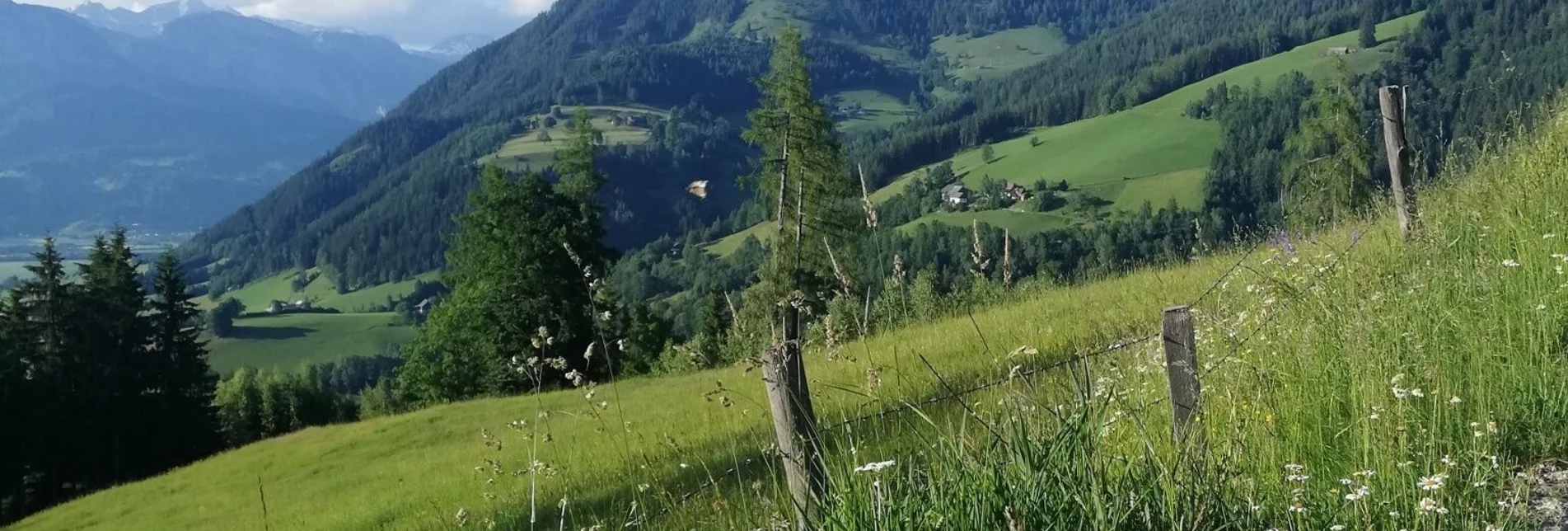 Hiking route Mölbegg Way from Aigen - Touren-Impression #1 | © Tourismusverband Grimming-Donnersbachtal