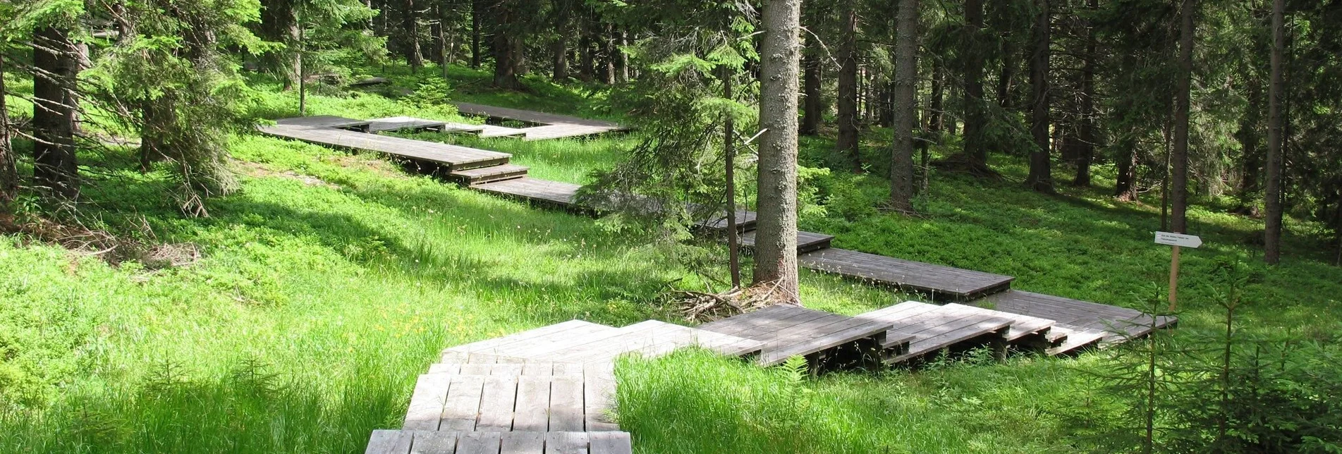 Hiking route Chapel tour on the Hebalm - Touren-Impression #1 | © Werbeagentur SMAC