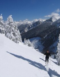 Schneeschuhparadies Hinteralm | © Naturpark Mürzer Oberland | Daniela Paul | © Naturpark Mürzer Oberland