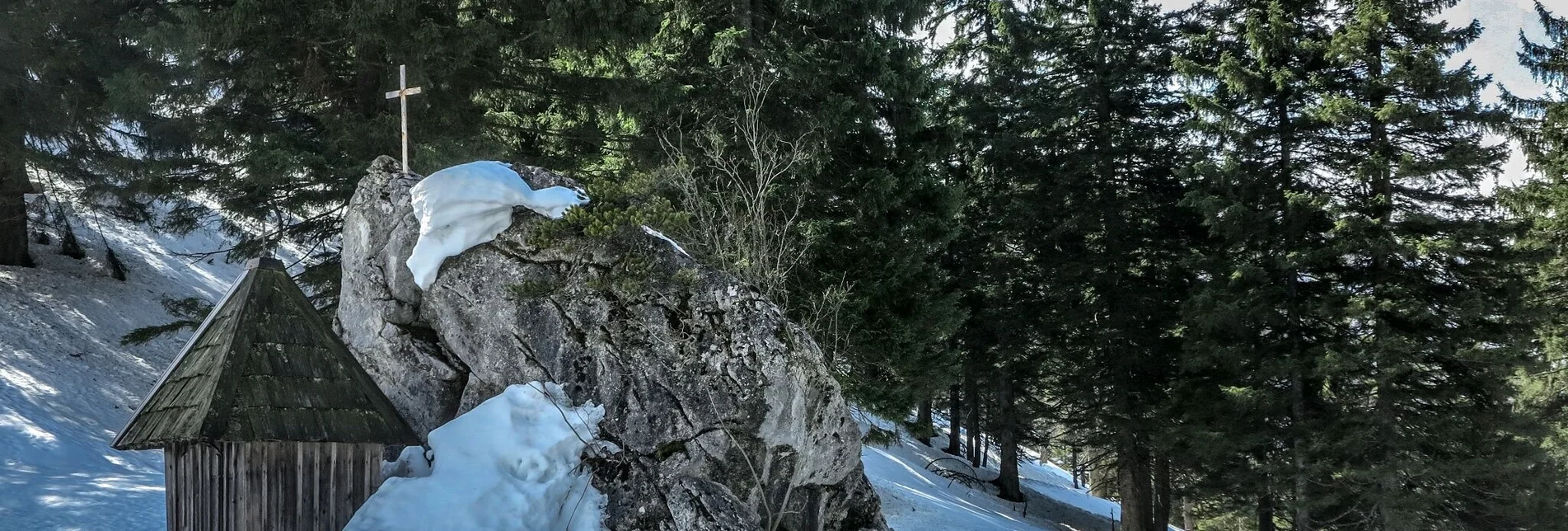 Snowshoe walking Auf die Goss/Hinterwildalpen - Touren-Impression #1 | © TV Gesäuse