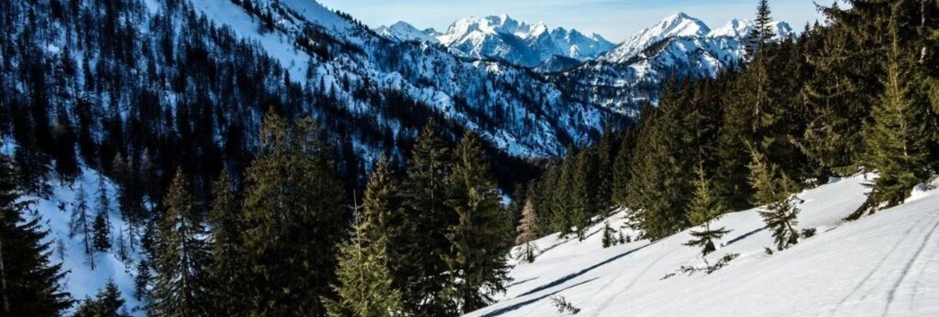 Ski Touring Skitour Buchberg von Gams - Touren-Impression #1 | © TV Gesäuse