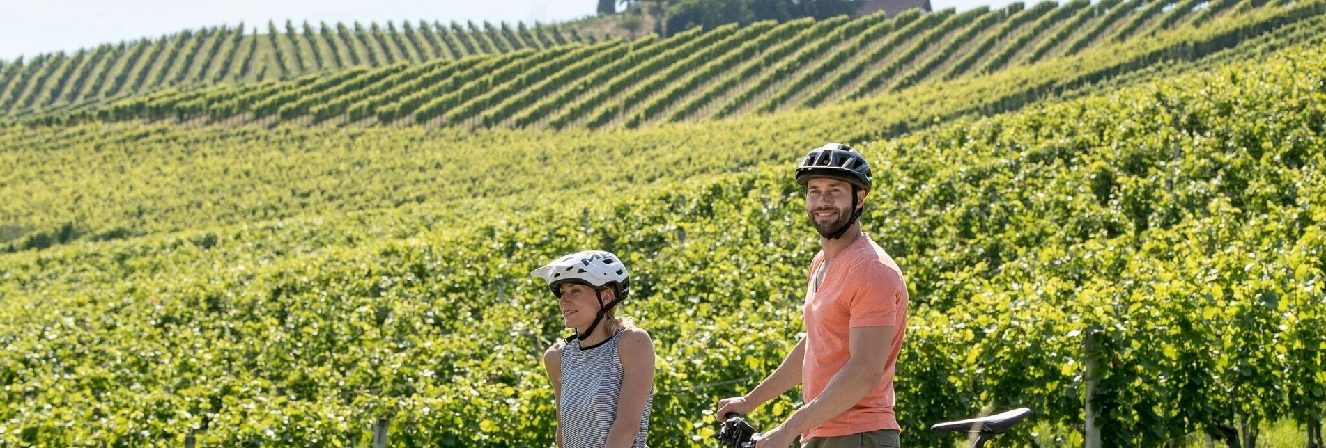 Bike Riding Weinstraßenausfahrt - Kreuzberg-Saggautal-Remschnigg - Touren-Impression #1 | © TRV Süd- und Weststeiermark