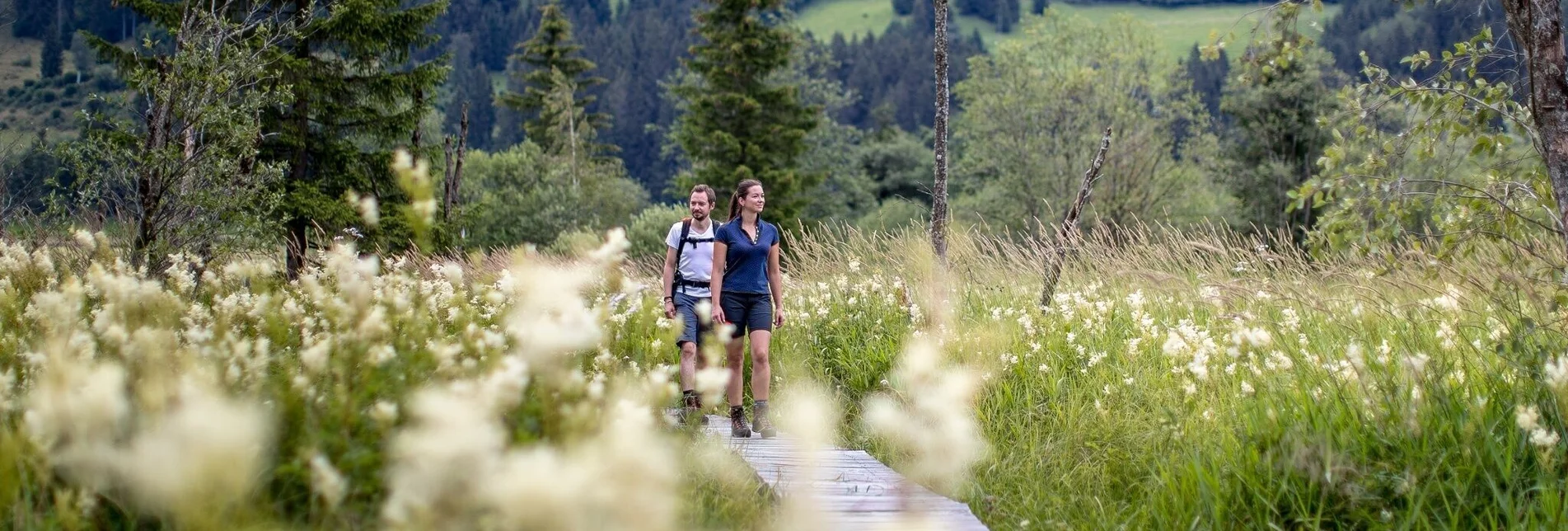 Hiking route Althaus-Hörfeld-Round - Touren-Impression #1 | © Tourismusverband Murau