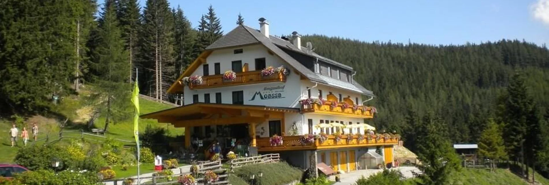 Klettersteig Kleine Reißtalersteig - Runde auf die Rax im Naturpark Mürzer Oberland - Touren-Impression #1 | © Unbekannt