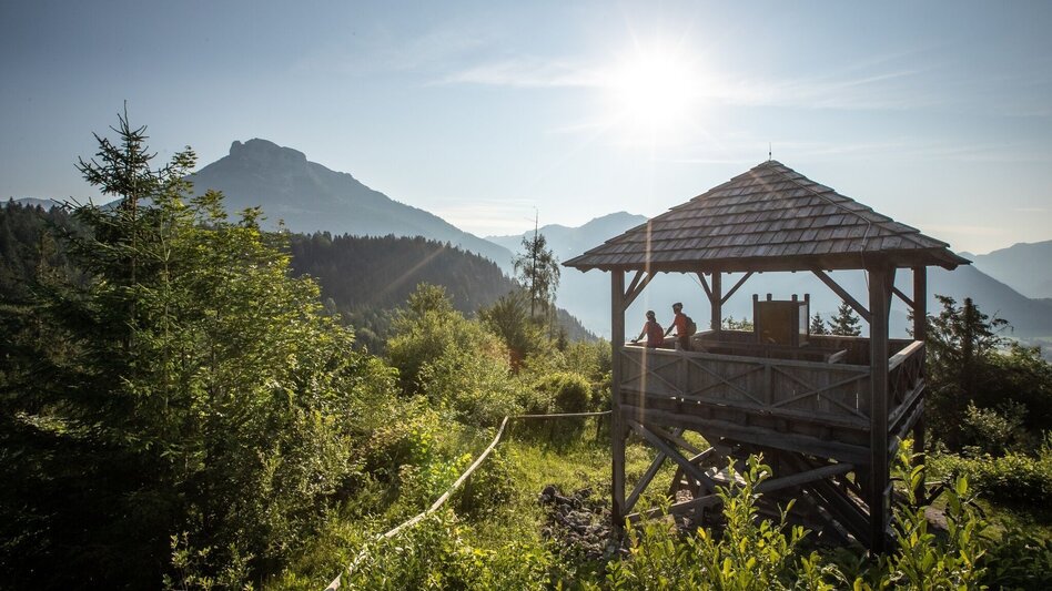 Gravelbike Gravelbike tour around the Sarstein - Touren-Impression #2.2 | © bikeboard.at