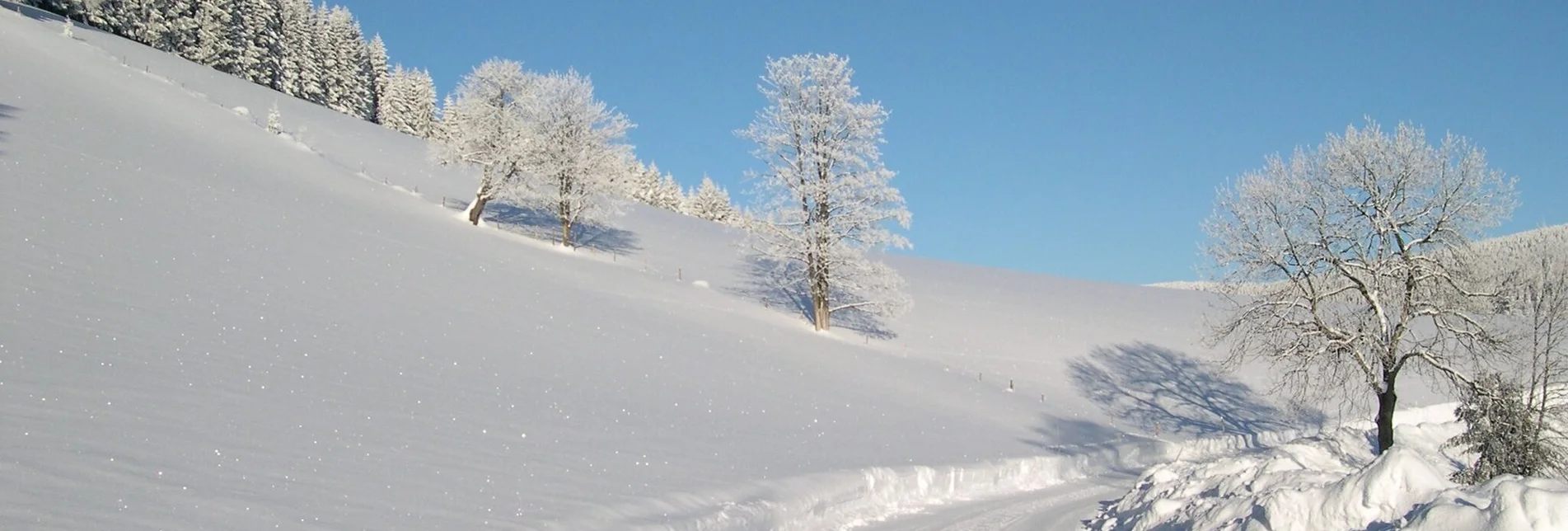 Winterwandern Winterwanderweg vom Feistritztal nach Falkenstein, Fischbach - Touren-Impression #1 | © Oststeiermark Tourismus