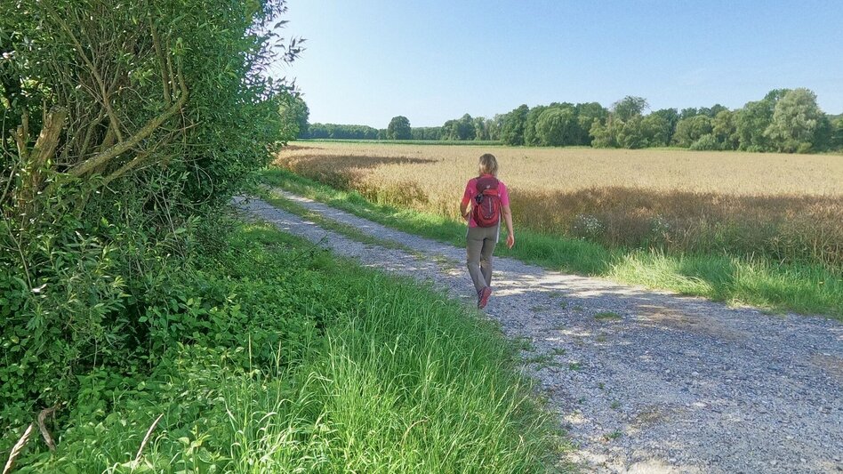 Hiking Route From Fischbach to St. Kathrein am Hauenstein, Fischbach - Touren-Impression #2.1 | © Oststeiermark Tourismus