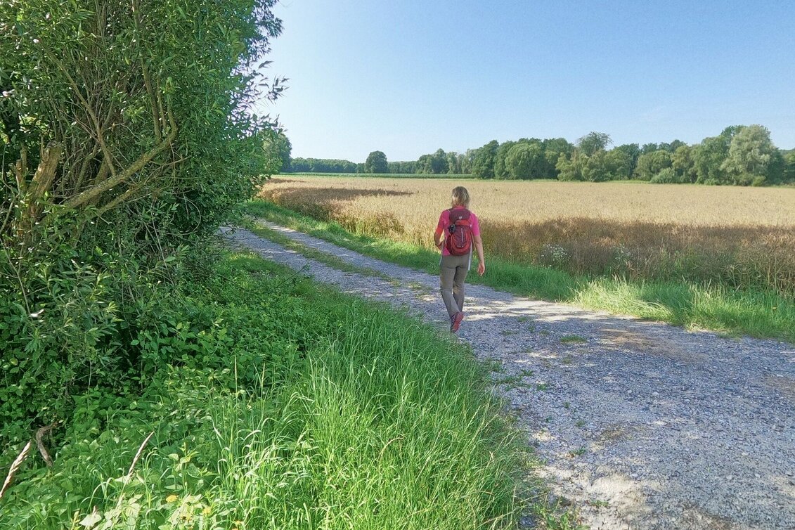 Hiking Route From Fischbach to St. Kathrein am Hauenstein, Fischbach - Touren-Impression #1 | © Oststeiermark Tourismus