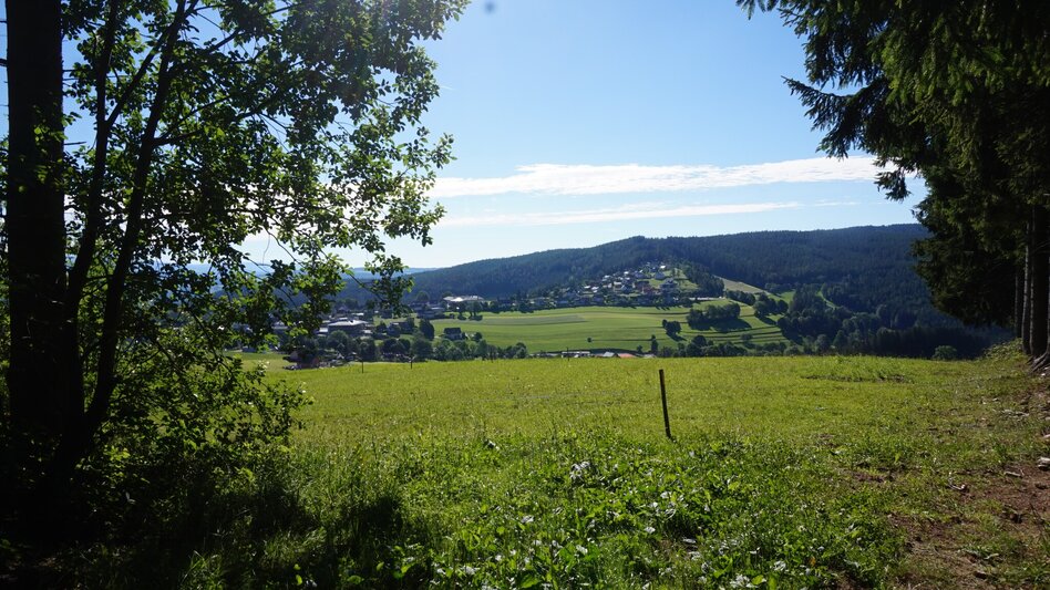 Hiking Route From Fischbach to St. Kathrein am Hauenstein, Fischbach - Touren-Impression #2.5 | © Oststeiermark Tourismus