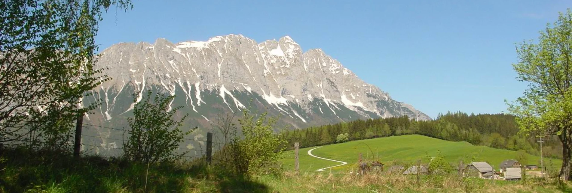 Nordic Walking Bewegungsarena - Eichleitenrunde (M 7) - Touren-Impression #1 | © Erlebnisregion Schladming-Dachstein