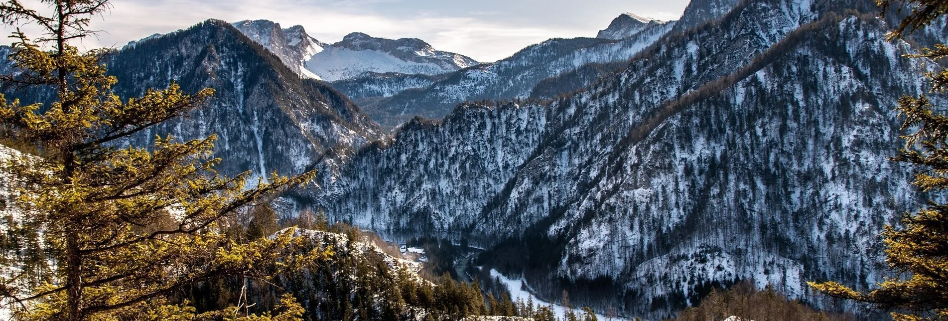 Snowshoe walking Lerchgraben - Touren-Impression #1 | © TV Gesäuse