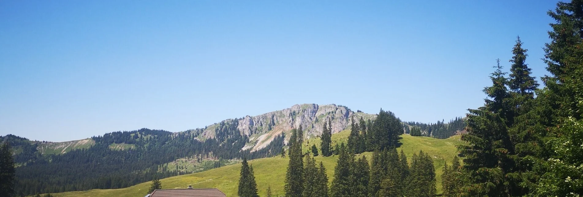 Hiking route Auf Bodenalm, Waxenegg und Donnerwand im Naturpark Mürzer Oberland - Touren-Impression #1 | © TV Hochsteiermark