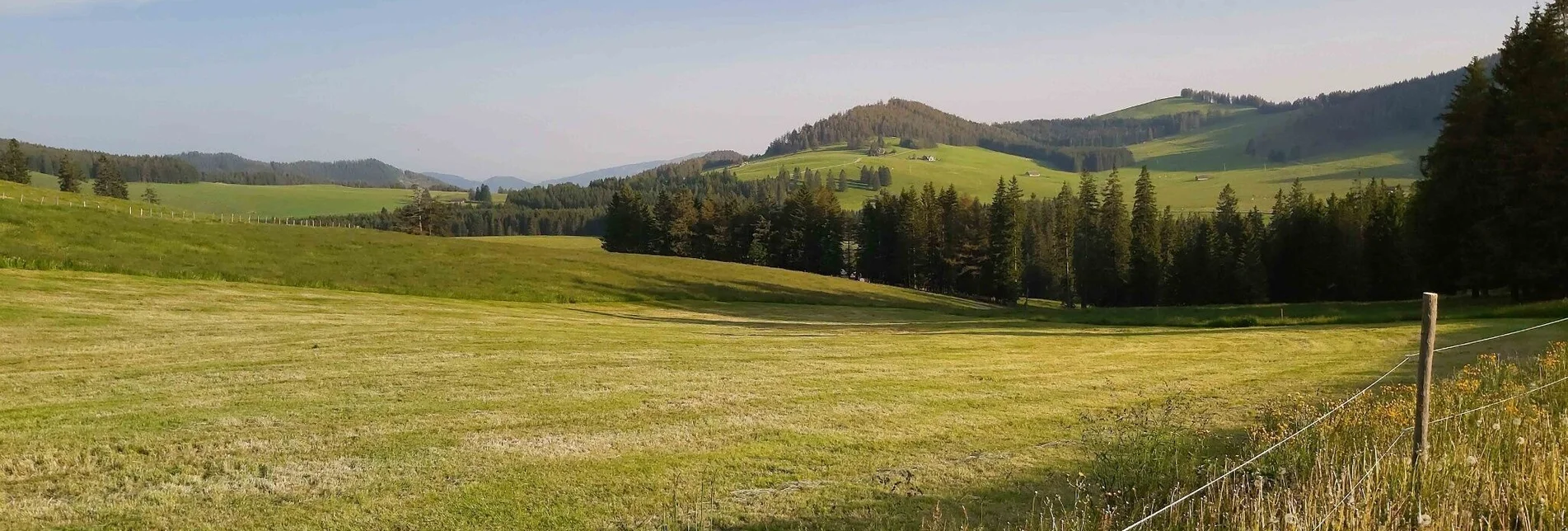 Wanderung Gerlerkogel, Teichalm - Touren-Impression #1 | © Oststeiermark Tourismus