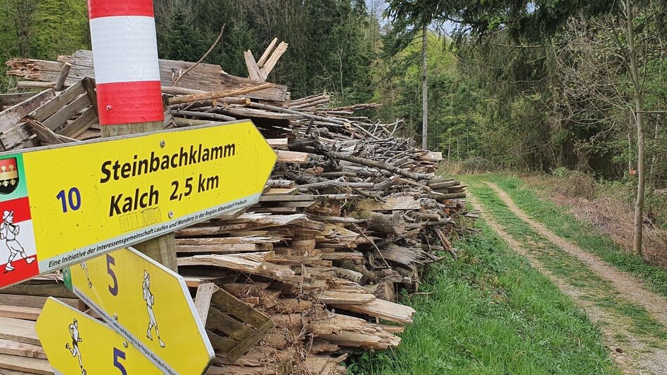 Hiking Route Steinbachklamm - way back via Neudorfberg - Touren-Impression #2.1 | © Oststeiermark Tourismus