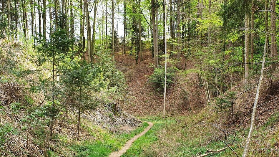 Hiking Route Steinbachklamm - way back via Neudorfberg - Touren-Impression #2.2 | © Oststeiermark Tourismus
