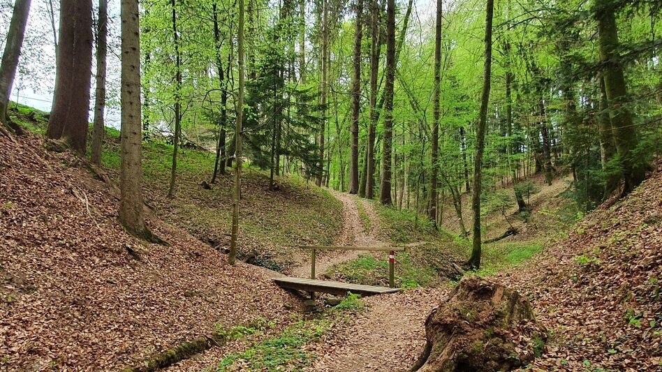Hiking Route Steinbachklamm - way back via Neudorfberg - Touren-Impression #2.3 | © Oststeiermark Tourismus