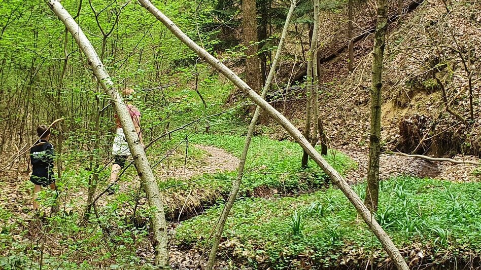 Hiking Route Steinbachklamm - way back via Neudorfberg - Touren-Impression #2.6 | © Oststeiermark Tourismus