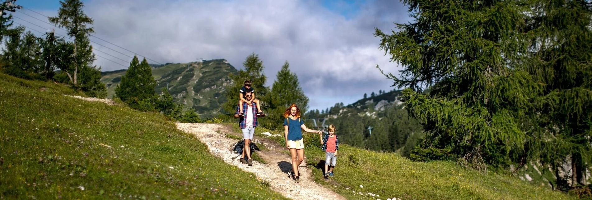 Wanderung Wanderung von der Tauplitzalm über den alten Almweg nach Tauplitz - Touren-Impression #1 | © Ausseerland