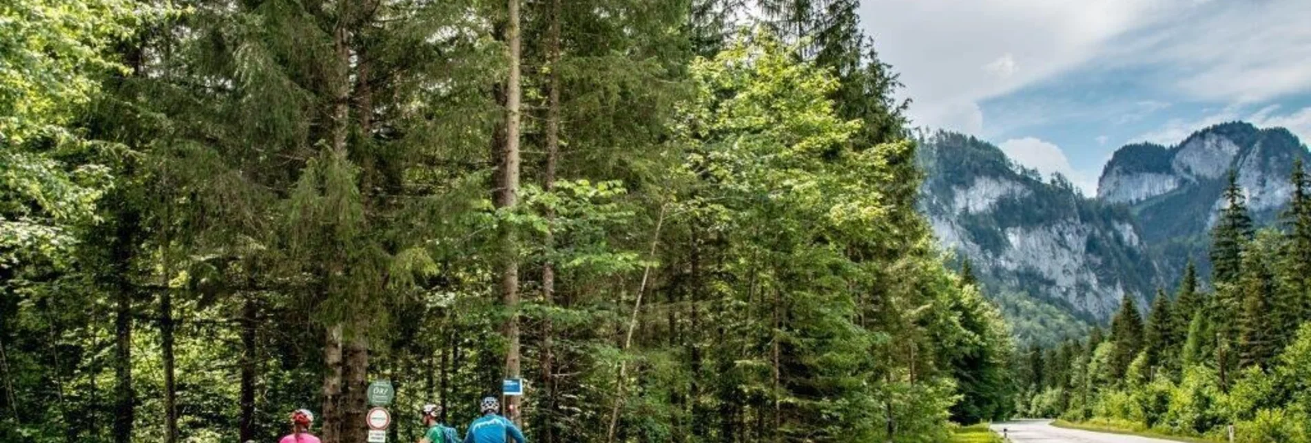 Mountain Biking Torsattel Wildalpen-Gams - Touren-Impression #1 | © TV Gesäuse