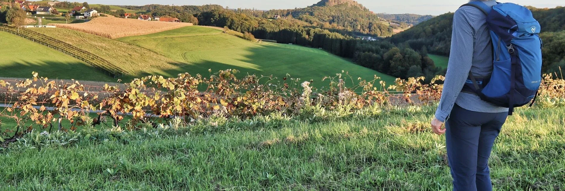 Hiking route Zotter-Schleife Genusswanderweg Riegersburg - Touren-Impression #1 | © Weges OG